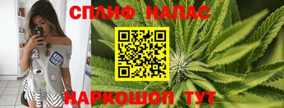 apvp Гусиноозёрск