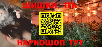 мдпв Гусев