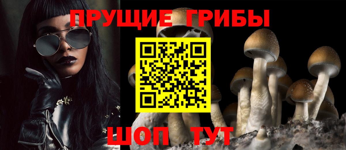 Галлюциногенные грибы мицелий  Вход с VPN  Орехово-Зуево 